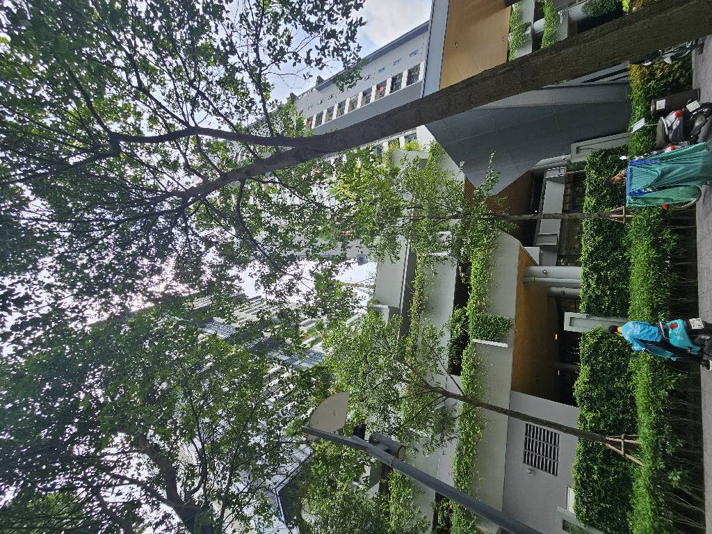 PARK KIARA – CĂN HỘ ĐẲNG CẤP TẦNG CAO – LÔ GÓC 135m² – NỘI THẤT TIỀN TỶ – KHÔNG GIAN SỐNG THƯỢNG LƯU