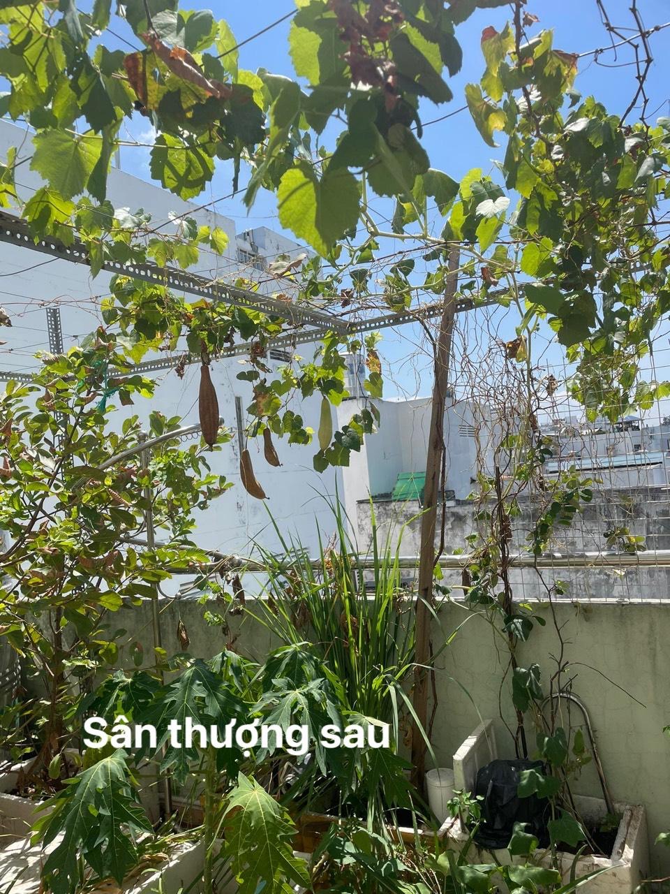 Nhà phố Phú Nhuận, 63m2, nhỉnh 8 tỷ