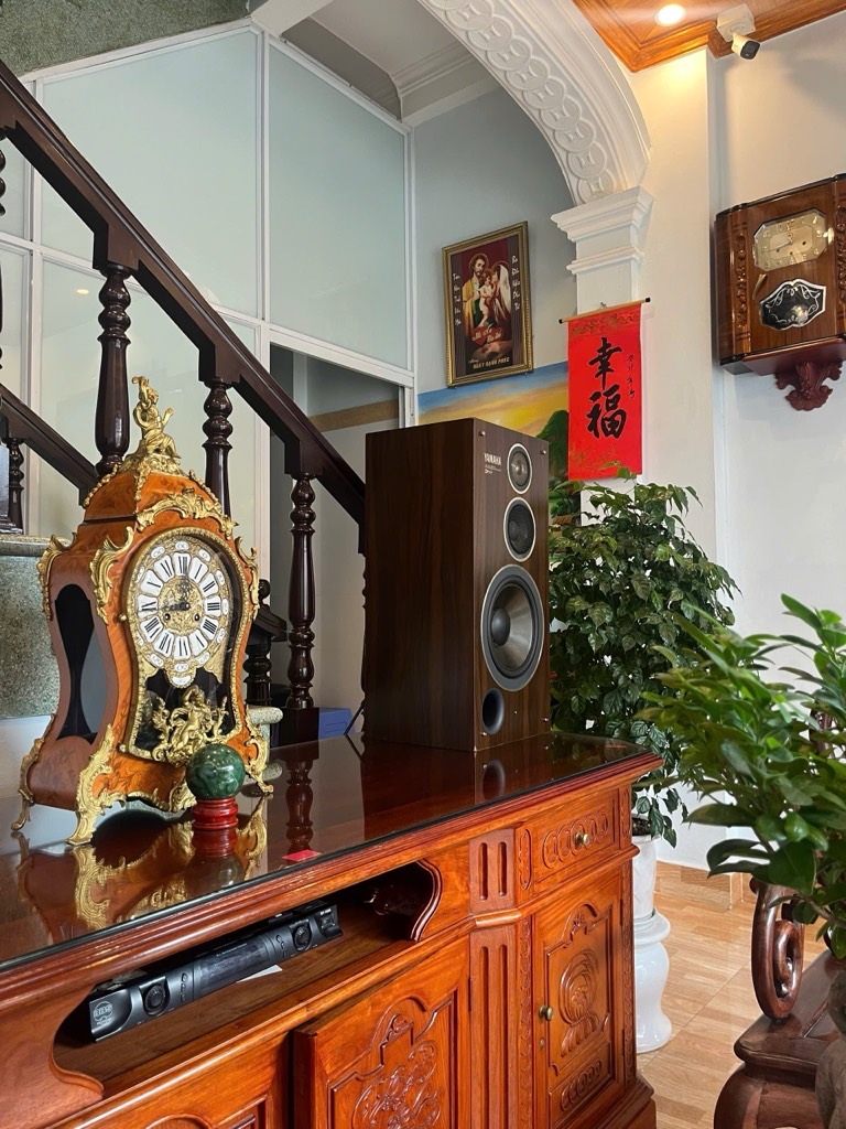 Ô TÔ VÀO NHÀ - CẠNH HỒ ĐIỀU HOÀ - NGÕ THÔNG