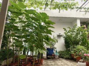 NHÀ ĐẸP - TRƯỜNG THỌ THỦ ĐỨC