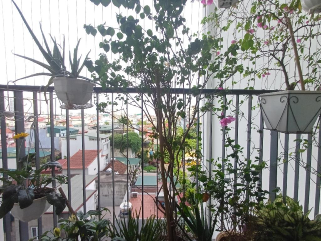 BÁN CHUNG CƯ FELIZ HOME HOÀNG MAI 77M2