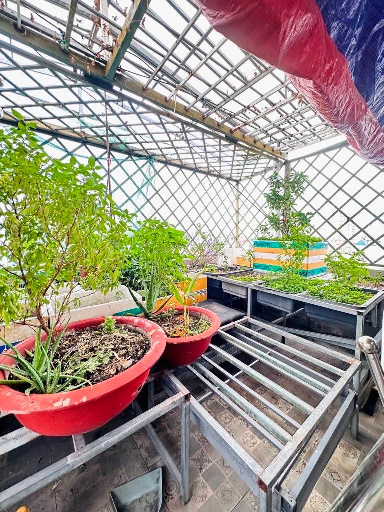 BÁN GẤP BIỆT THỰ ĐẸP, TRUNG MỸ TÂY 19 TẶNG HẾT NỘI THẤT, QUẬN 12, DT 125M2(5.1 × 25), GIÁ SIÊU RẺ, CHỈ 12.6 TỶ.