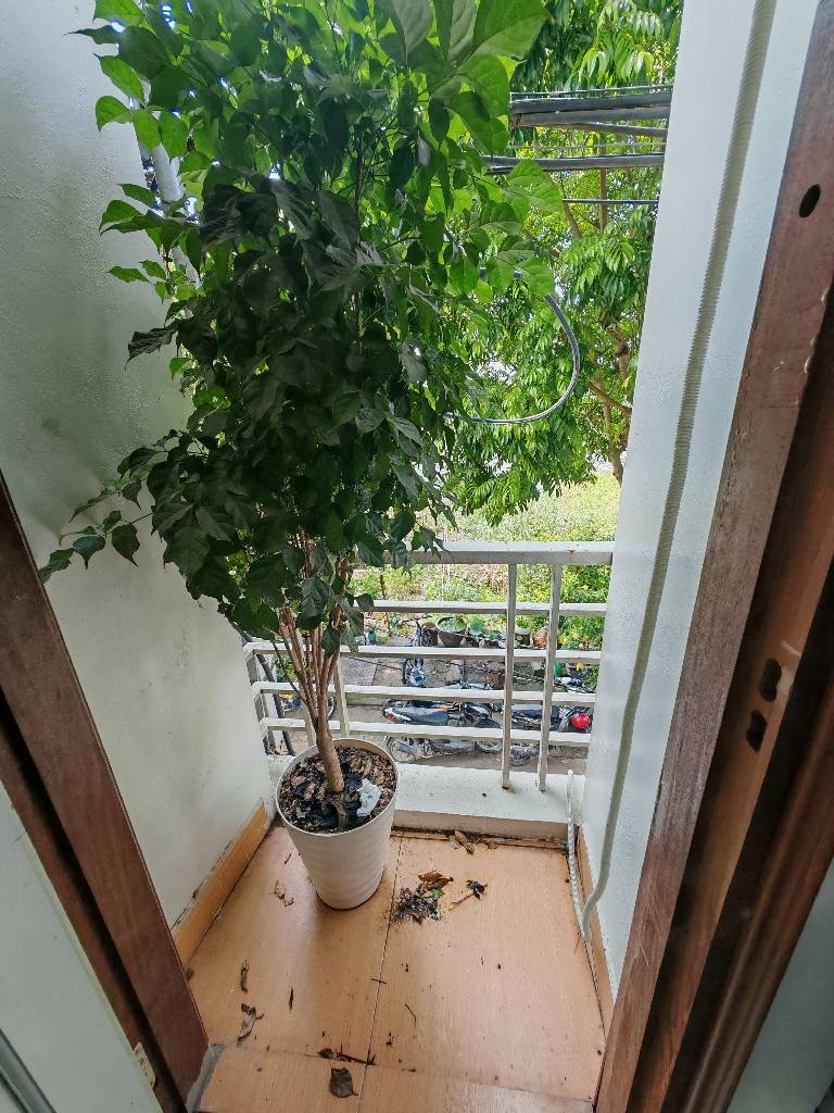 nhà đẹp, 4tầng, mặt ngõ oto tránh