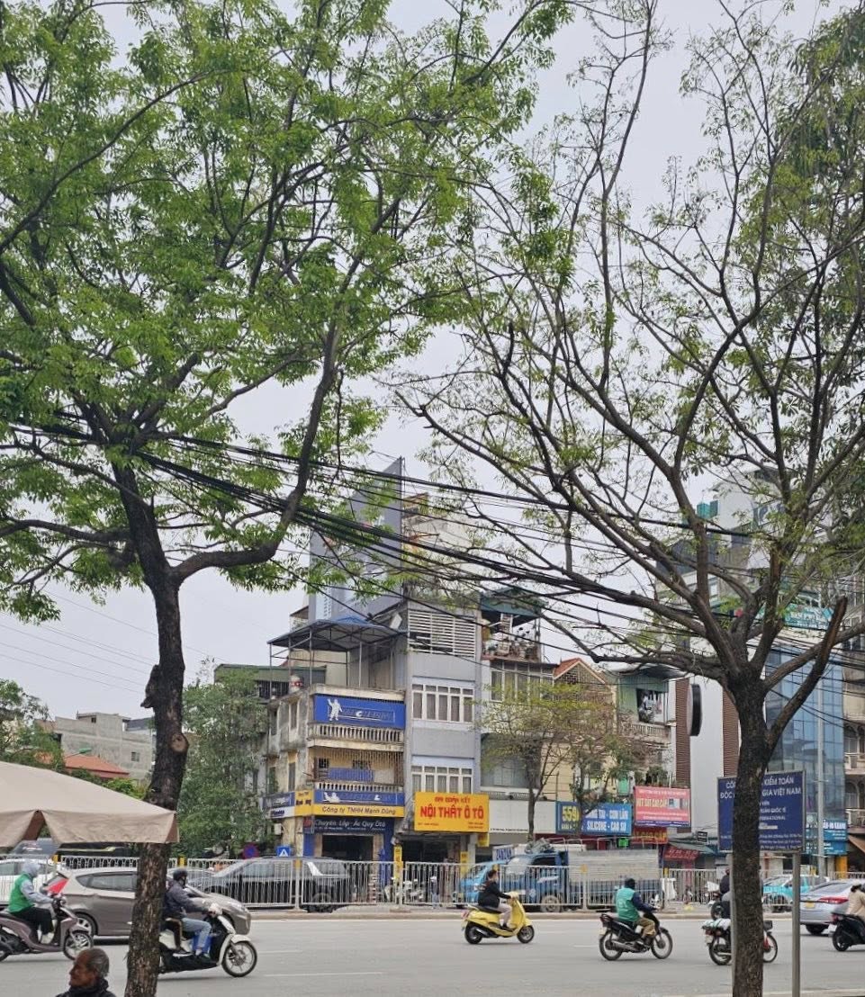 PHÂN LÔ TÂN MAI , VỈA HÈ 12M , NHÀ MẶT ĐƯỜNG 20M , KINH DOANH TẸT BÔ , 5 TẦNG THANG MÁY , MỚI TINH , HÀNG XỊN CÁC BÁC ƠI