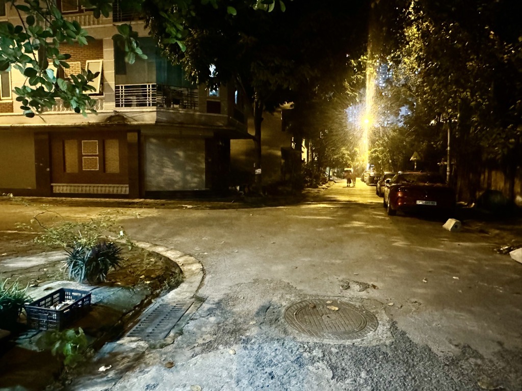 Nhà Phú Diễn Cực Hiếm