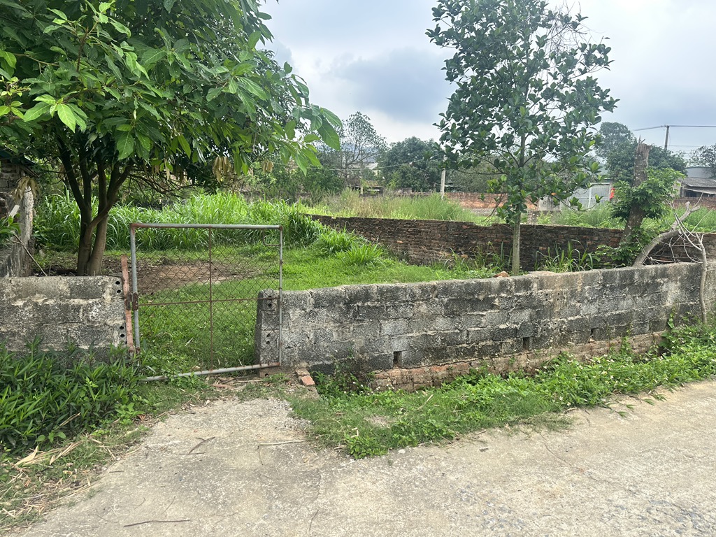 Thửa 175m 8m mặt tiền, thôn thanh sơn