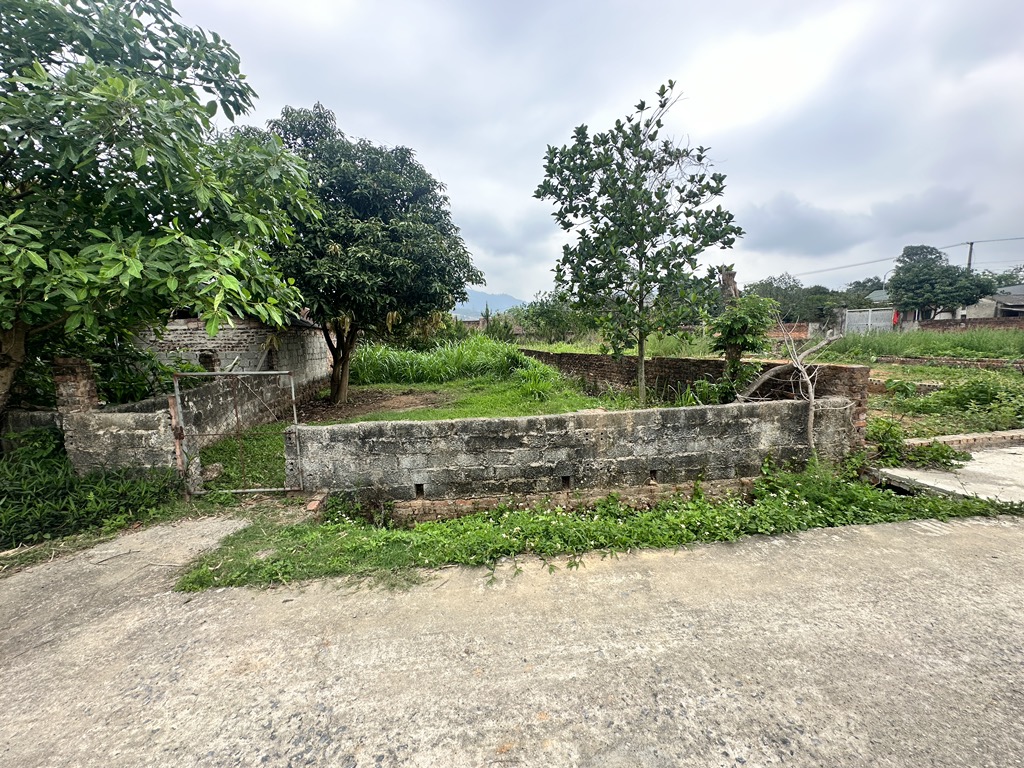 Thửa 175m 8m mặt tiền, thôn thanh sơn