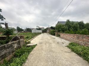 Thửa 175m 8m mặt tiền, thôn thanh sơn