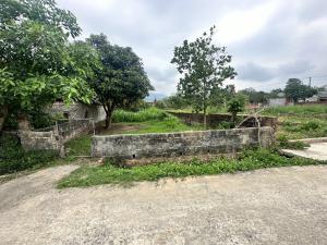 Thửa 175m 8m mặt tiền, thôn thanh sơn