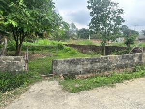Thửa 175m 8m mặt tiền, thôn thanh sơn