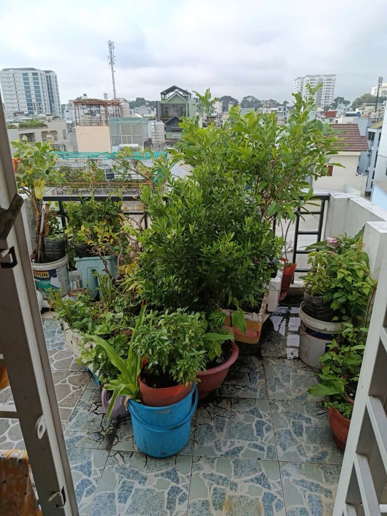 BÁN NHÀ 5 TẦNG, NGUYỄN TIỂU LA, HẺM 3M, GẦN NGUYỄN TRI PHƯƠNG, DIỆN TÍCH 30M2, GIÁ 7.5 TỶ