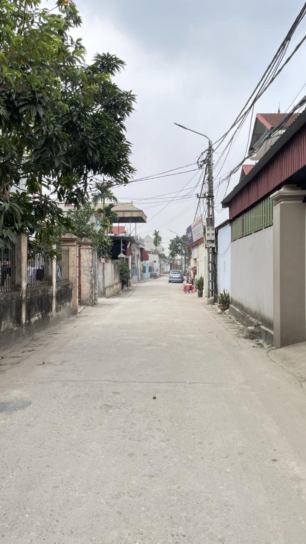 Bán đất