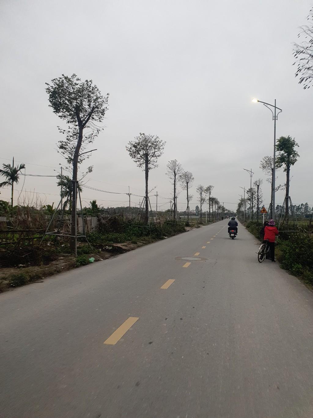 Bán đất
