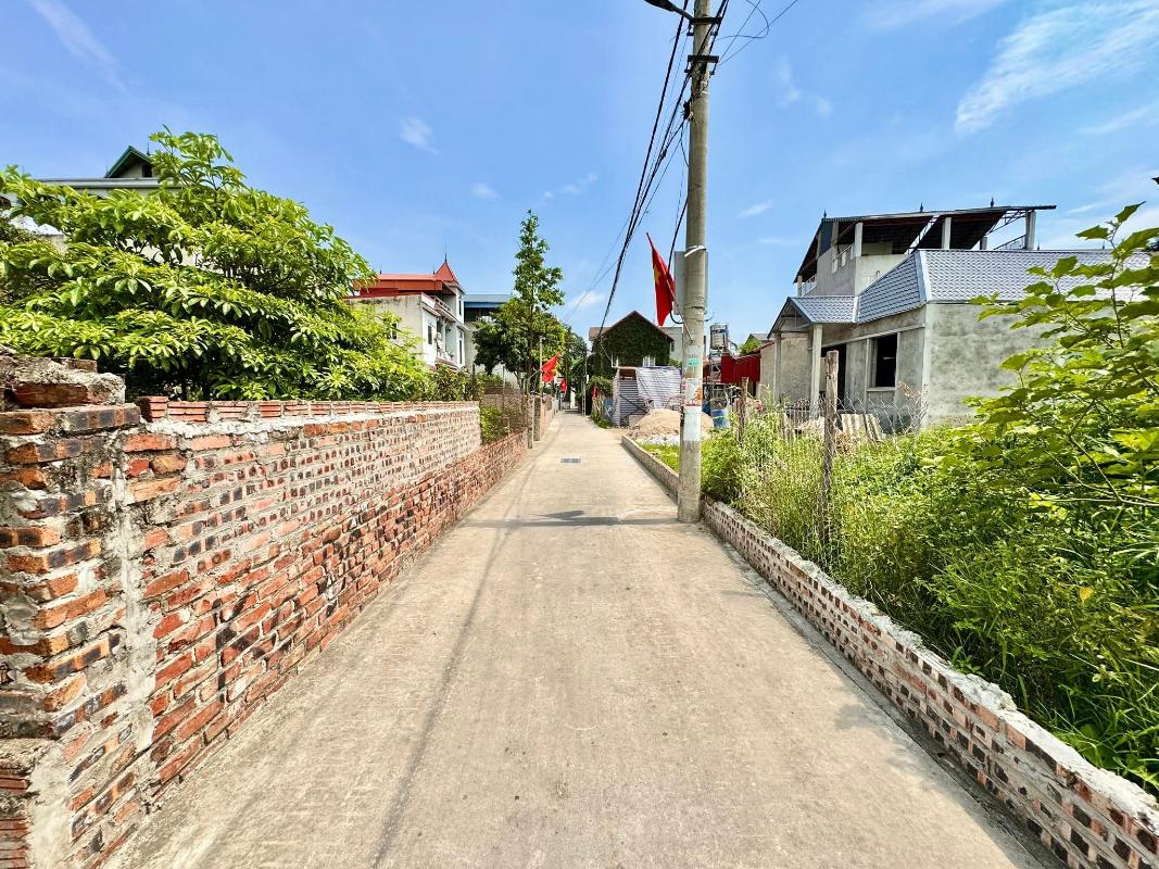 Bán đất