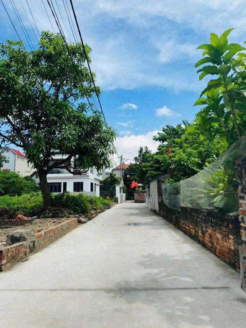 Bán đất