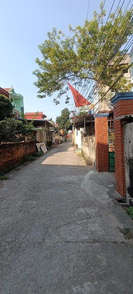 Bán đất