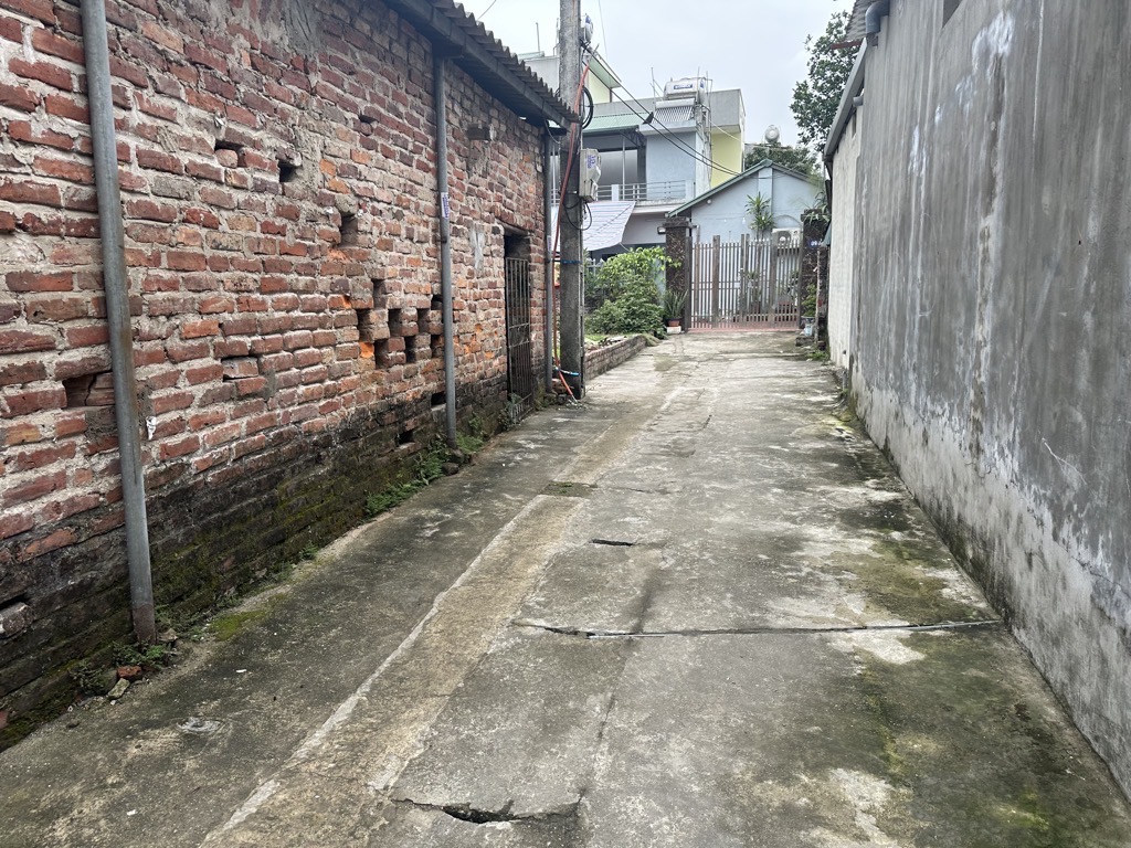 Bán đất