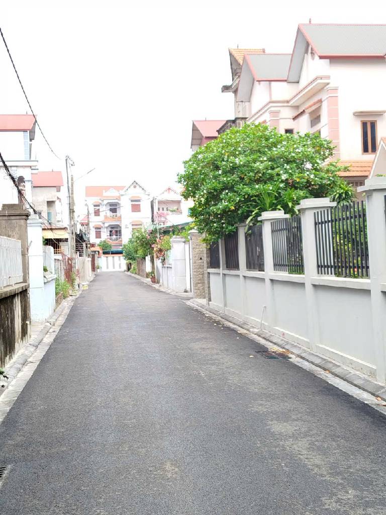 Bán đất