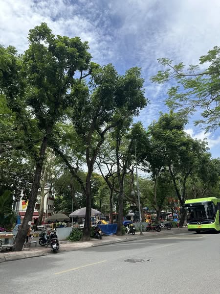 ĐẤT CỔ LOA – SÁT VIN HOMES – NGÕ THÔNG – GIÁ TỐT