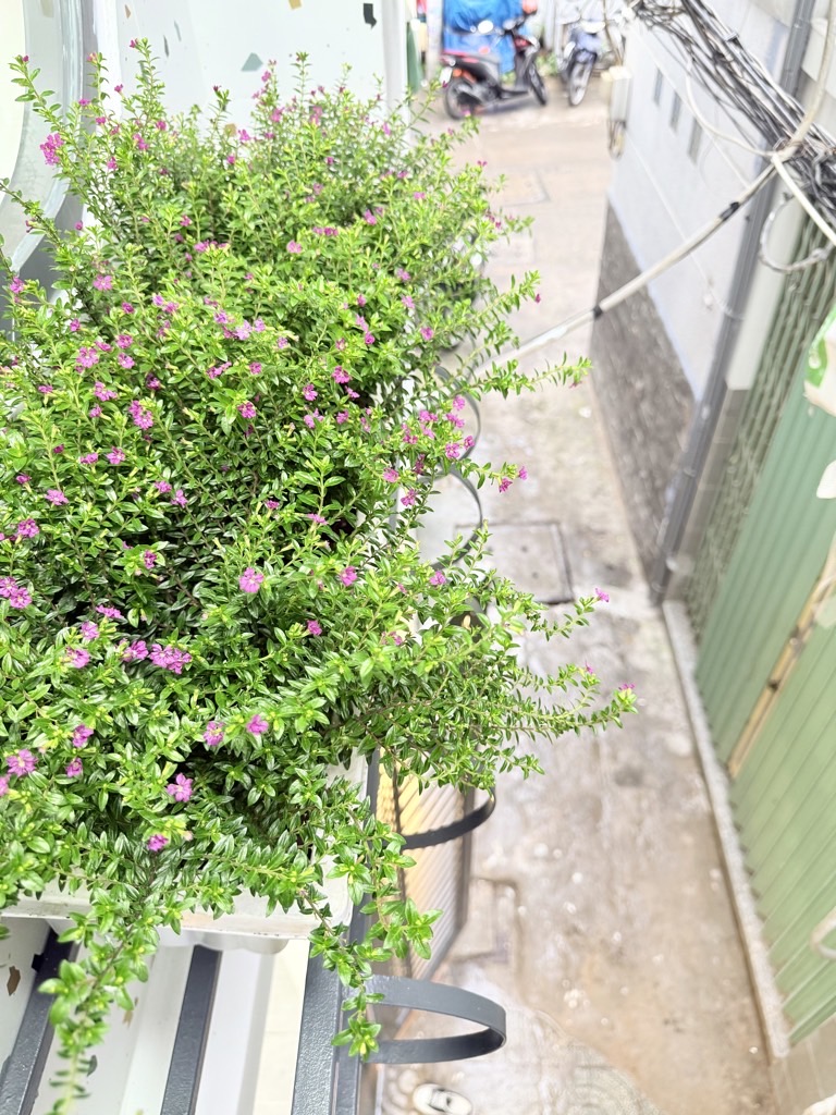Nhà Lê Văn Duyệt giá 2.1 tỷ hẻm thông