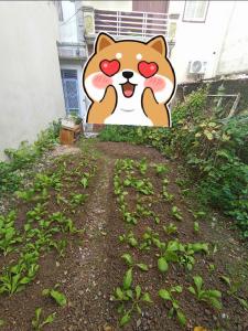 bán đất đẹp thụy phương 38m giá 3.2 tỷ mặt ngõ 3m 3 bước ra đường phố.