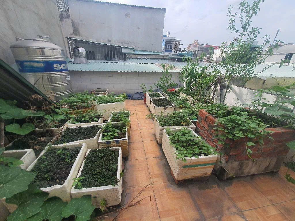 Đất già tốt- Linh Tây- Thủ Đức