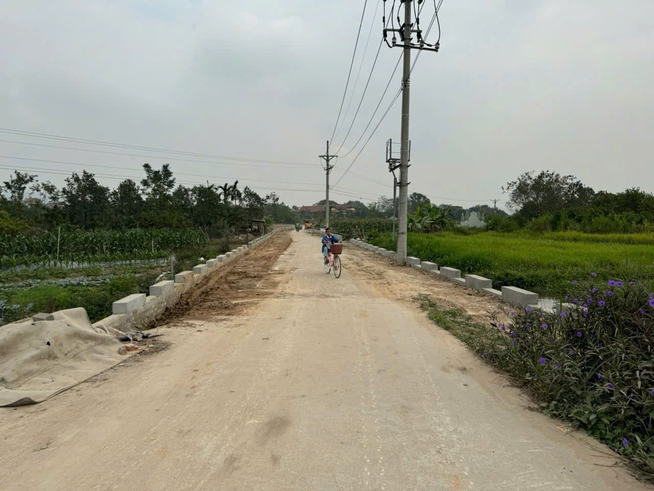BÁN GẤP 240M ĐẤT BÌA NAM CƯƠNG, HIỀN NINH, SÓC SƠN. HÀ NỘI