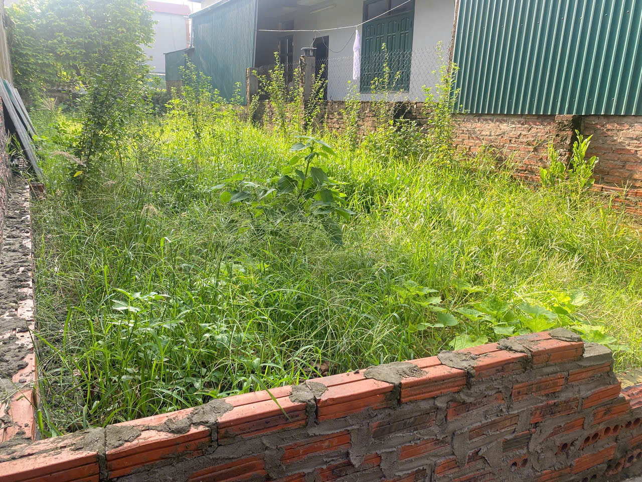 HƠN 7 TỶ SỞ HỮU LÔ ĐẤT 106M² TRUNG OAI – PHÚC THỊNH, HÀ NỘI. LÔ GÓC, Ô TÔ THÔNG.