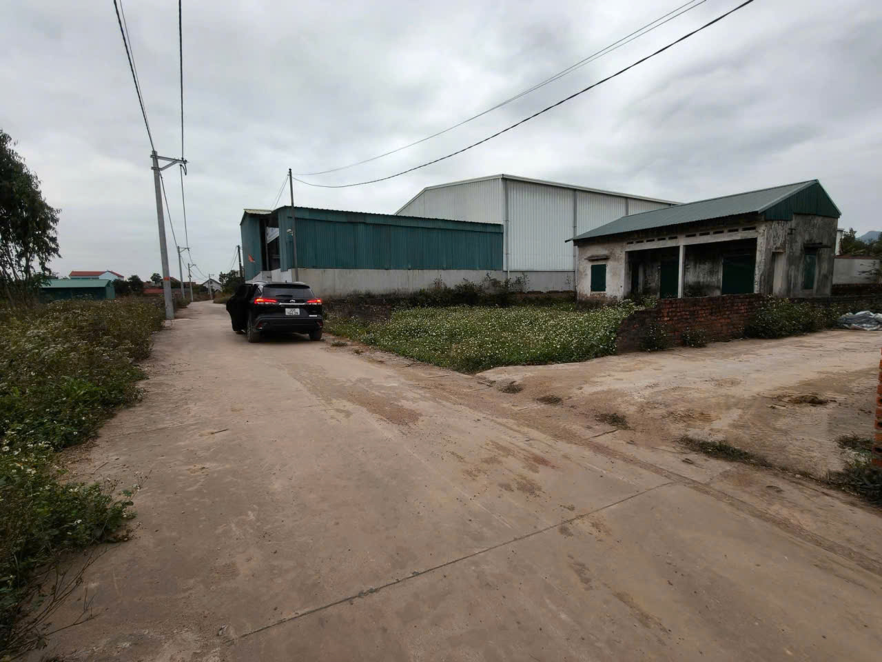 THANH KHOẢN NHANH LÔ ĐẤT 490M TẠI THÁI LAI, MẶT TIỀN HƠN 15M. LÔ GÓC. GIÁ HƠN 8 TỶ