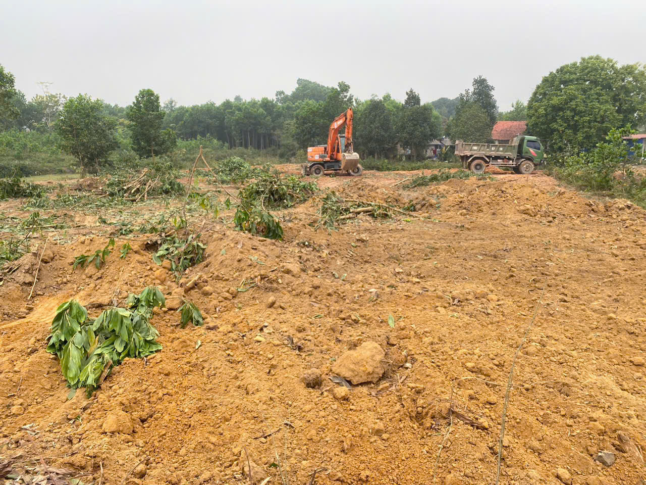 MỘT LÔ DUY NHẤT HÀNG F0 TẠI ĐÔ LƯƠNG, TRUNG GIÃ, CẠNH HỒ SINH THÁI ĐỒNG CHIÊM. GIÁ 5TR/M