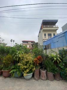 SIÊU PHẨM LẠC NÔNG, NỘI BÀI, HÀ NỘI. VÙNG LÕI TP VỆ TINH, NẰM GIỮA 3KCN LỚN, DÂN CƯ ĐÔNG ĐÚC. XÂY NHÀ TRỌ RA DÒNG TIỀN