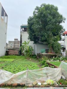 TRỤC CHÍNH THÔNG Ô TÔ TẠI VÂN NỘI. ĐÔNG ANH 84M2 FULL THỔ. GIÁ CHỈ 7 TỶ