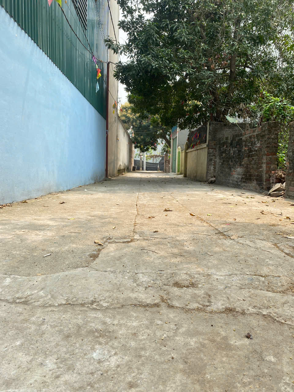 CẦN BÁN NHANH, CÀNG NHANH CÀNG TỐT LÔ ĐẤT 125M2, TẠI BẮC HỒNG, ĐÔNG ANH, HÀ NỘI, CỰC KỲ TIỀM NĂNG