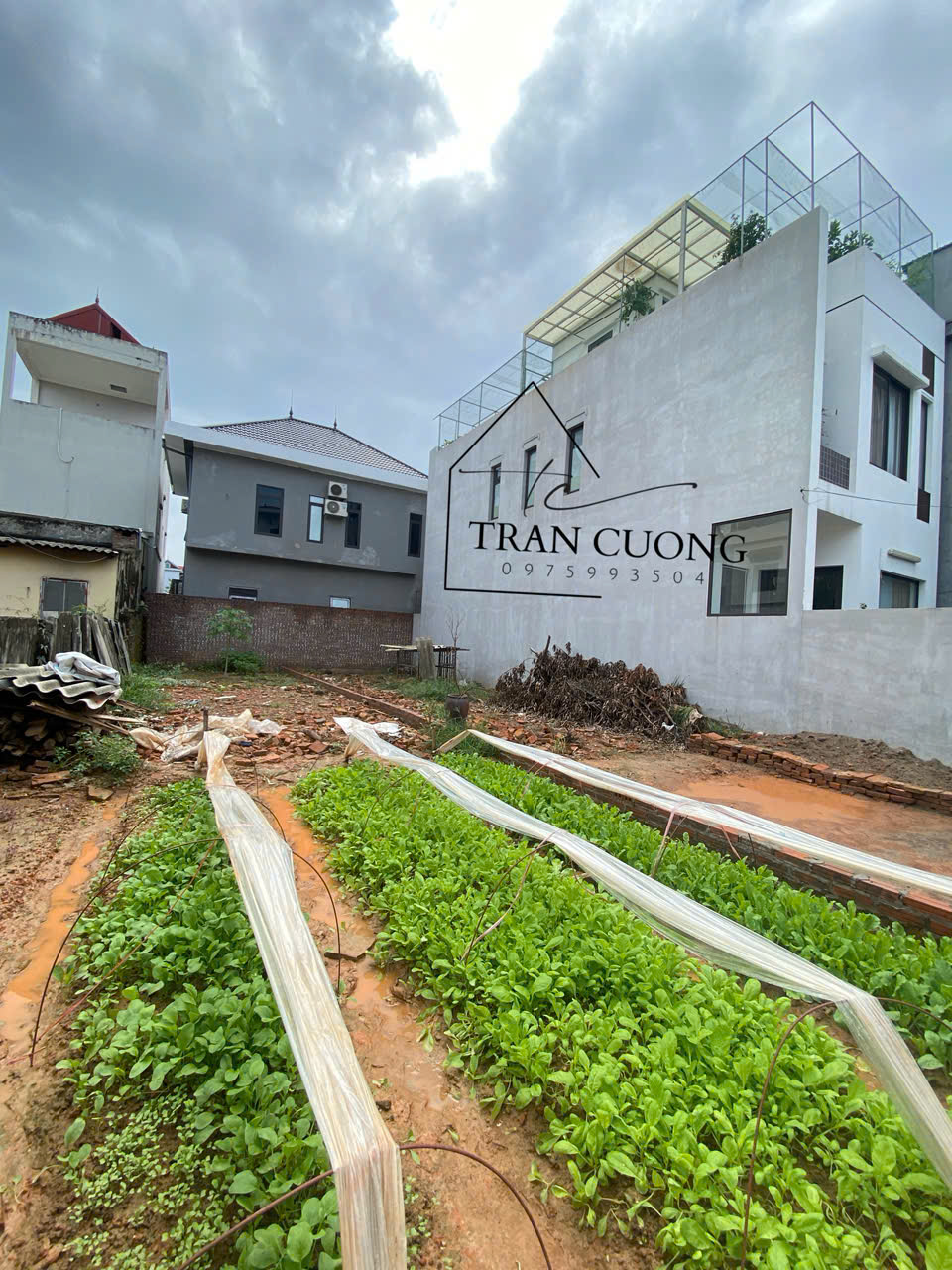 BÁN GẤP 98,5M ĐẤT CỔ DƯƠNG, TIÊN DƯƠNG, VỊ TRÍ VIP. GIÁ NGỘP