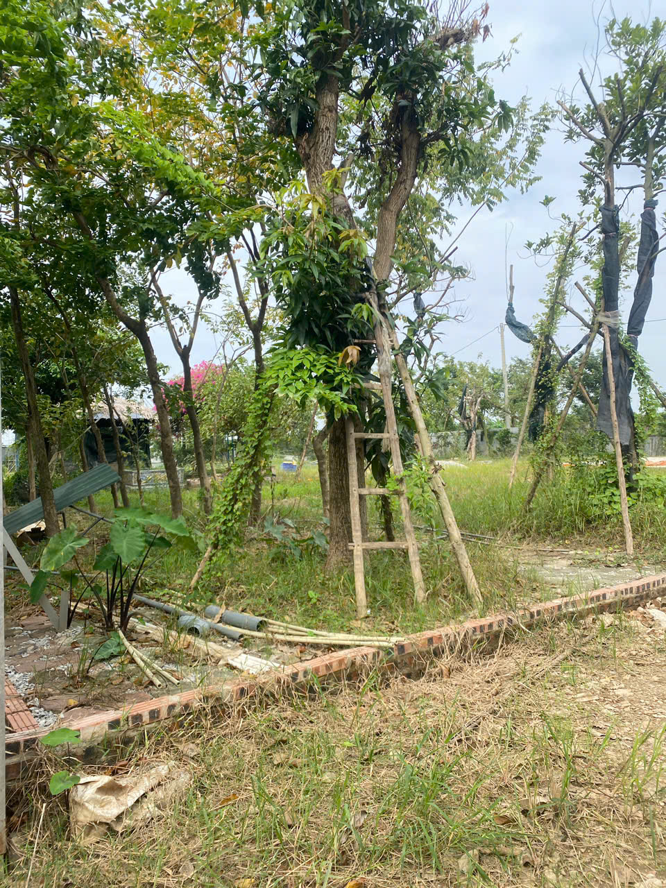 BÁN GẤP 2100M ĐẤT TRANG TRẠI, KHU NGHỈ DƯỠNG TẠI ĐÔNG ANH. CHỈ NHỈNH 3,5 TỶ CÓ THƯƠNG LƯỢNG.