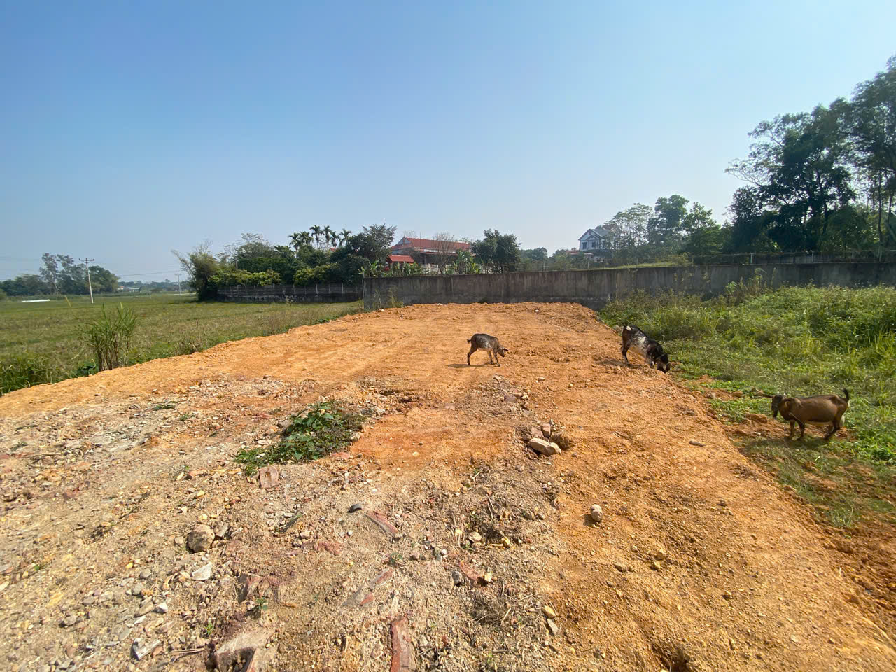 Cần thanh khoản nhanh lô đất 233m tại Thành Công, Phổ Yên, Thái Nguyên. Trục ô tô tránh.