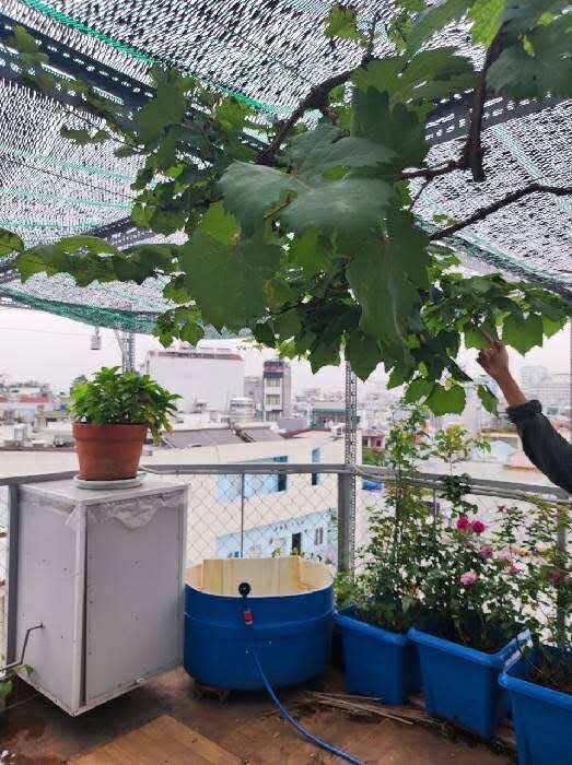 Gần ngã 4 Quang Trung – Thống Nhất, Gò Vấp – Nhà đẹp 8,5 tỷ