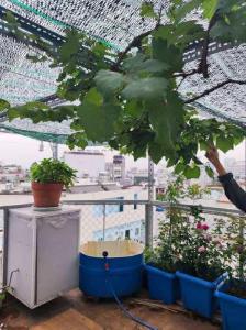 Gần ngã 4 Quang Trung – Thống Nhất, Gò Vấp – Nhà đẹp 8,5 tỷ