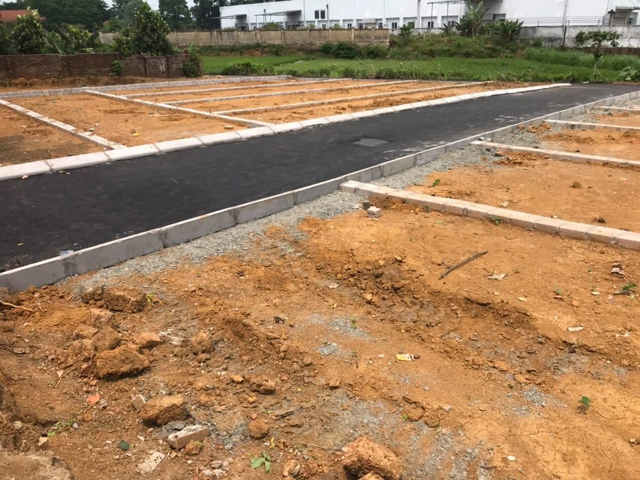 Bán đâť hải bối đông anh