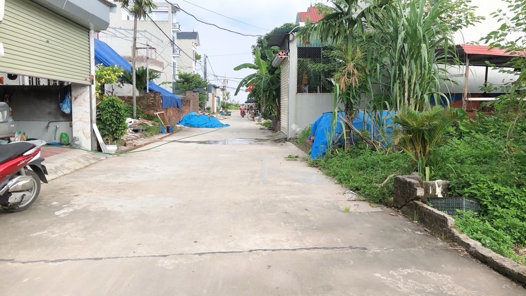 Bán đất- Mai Đình - Sóc Sơn