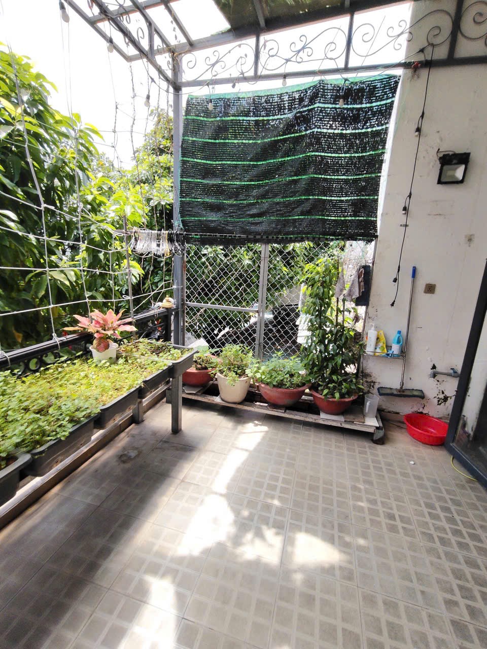 Cần tiền bán gấp nhà
