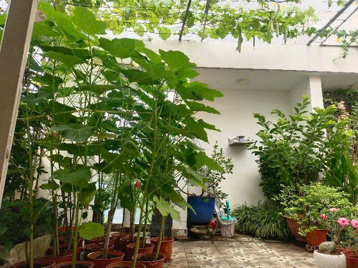 Nhà 4 tầng xây dựng kiên cố - 8.4 Tỷ - Thiết kế hiện đại - Công năng chuẩn chỉnh