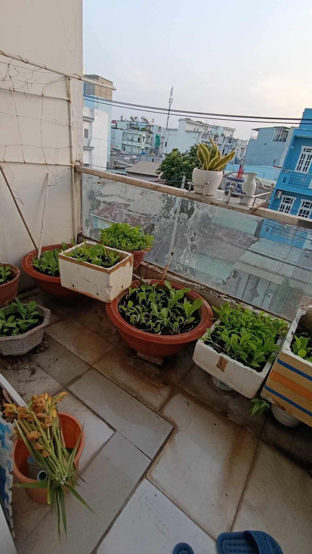 Mặt tiền Mai Hoắc Đế Q8, 78m2 3 tầng BTCT SHR hoàn công, vừa ở vừa kinh doanh, chỉ 9 tỷ TL