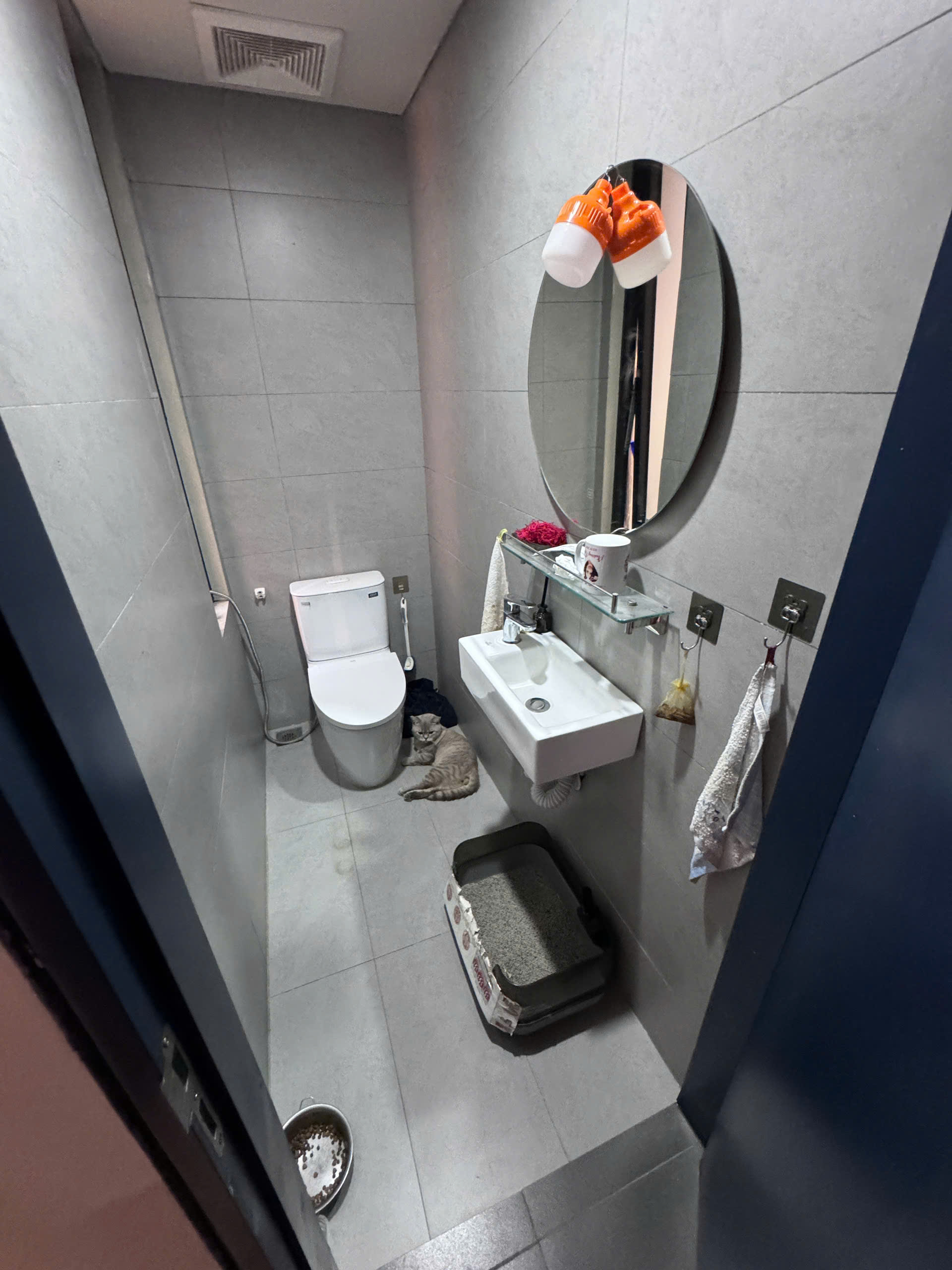 NEWW BIỆT THỰ SÂN VƯỜN MINI NGUYỄN AN NINH - HOÀNG MAI - Ô TÔ ĐỖ CỬA - 76.8M2 - 5 TẦNG 2X NHI ĐỒNG NHẬN HỆ SINH THÁI XANH.