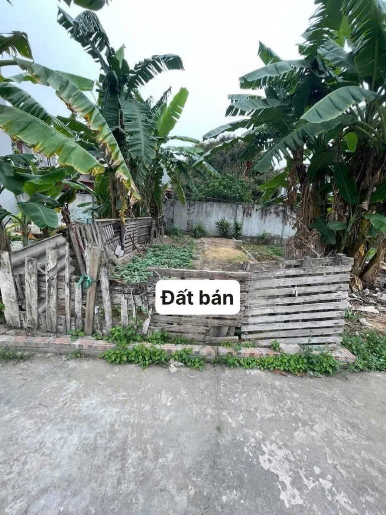 Hot .... Bán  đất  Đẹp Xuân Canh !