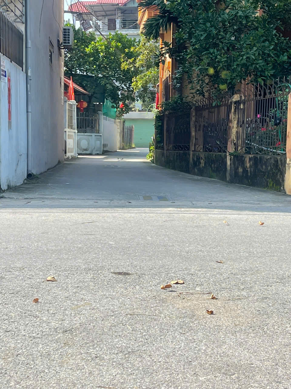 Định cư lý tưởng – Đầu tư sinh lời