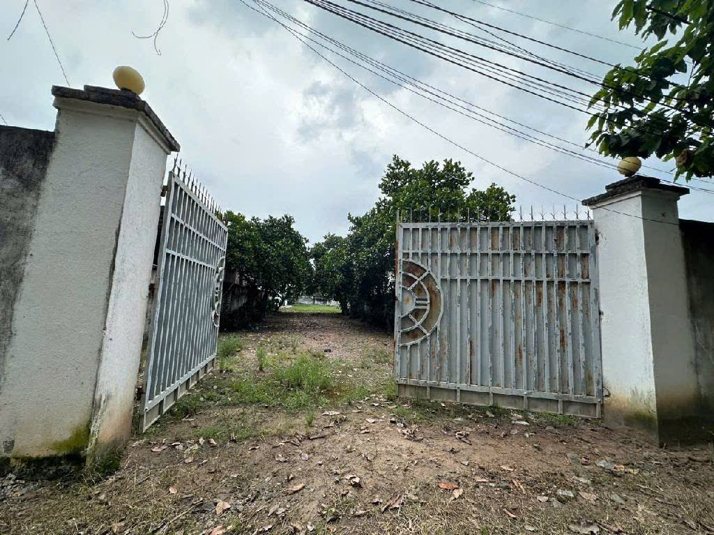 KHO 1800M2 – 15TỶ - ĐƯỜNG 8M – CÁCH CỦ CHI HCM 5KM