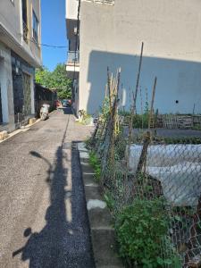 BÁN ĐẤT ĐẸP TRUNG TÂM HẢI BỐI, NGÕ Ô TÔ 7 CHỖ, VÀI BƯỚC RA ĐƯỜNG 15m