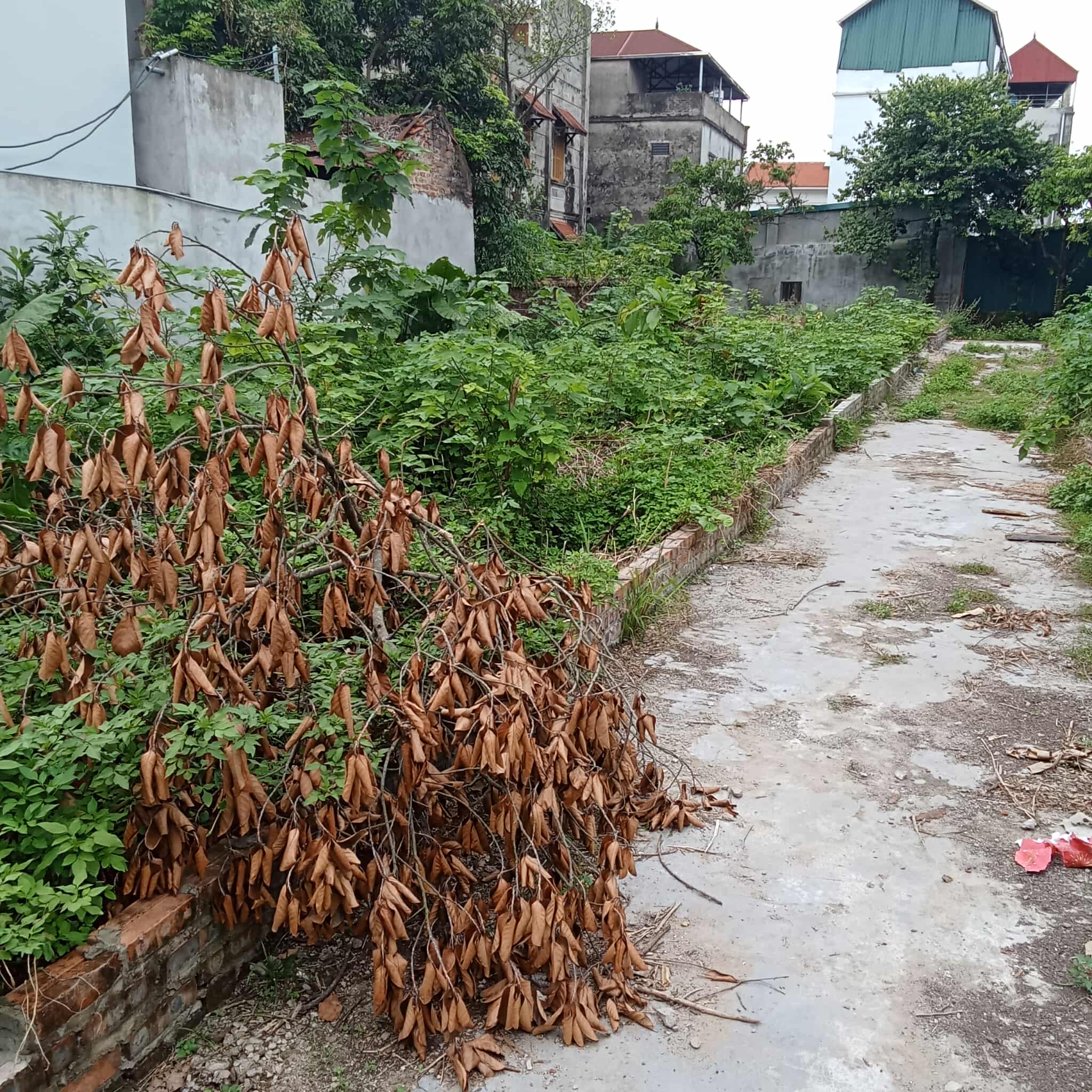 Đất đẹp Mai Lâm, Đông Anh. ô tô dỗ, khu vực Hot. 80m2 – 5.x tỷ