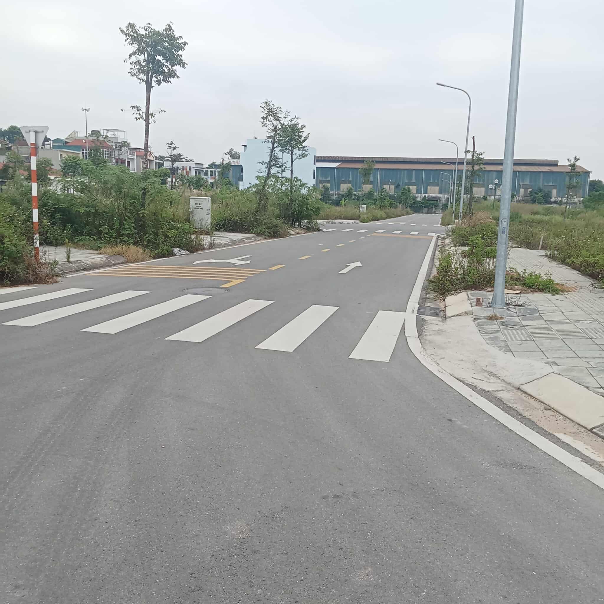 Phố mới Mai Lâm. Kinh doanh, phân lô, ô tô tránh. Dt 56m2